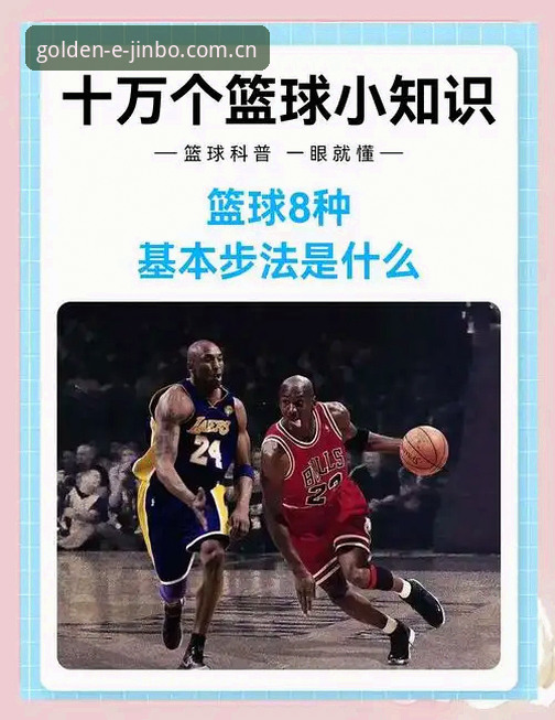 金博体育平台篮球数据使用指南：从入门到精通的完整攻略